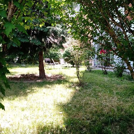 Central Lakeside Apartment Ohrid Exterior foto