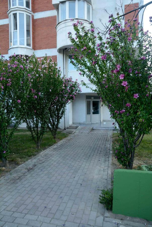Central Lakeside Apartment Ohrid Exterior foto